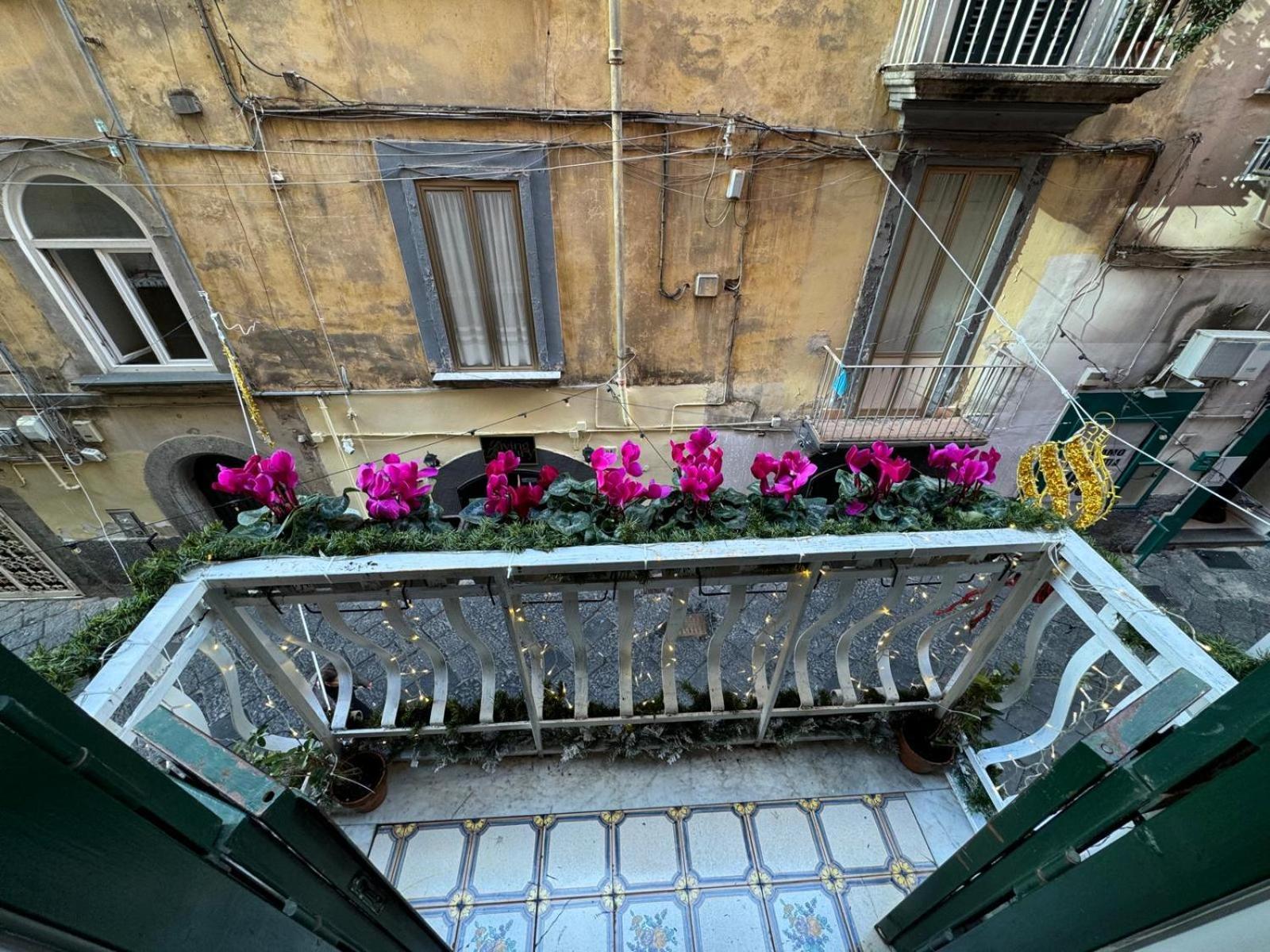 Apartment Bella Chiaia